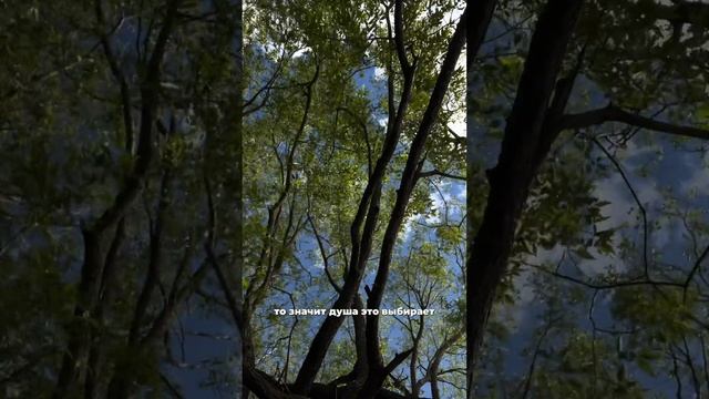 Челлендж по состояниям 8/365