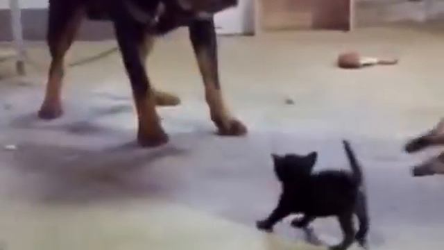 Уличный боец смотреть онлайн