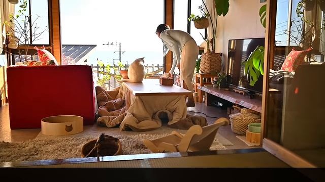 #101 静かな海で迎える小さなお正月🍊