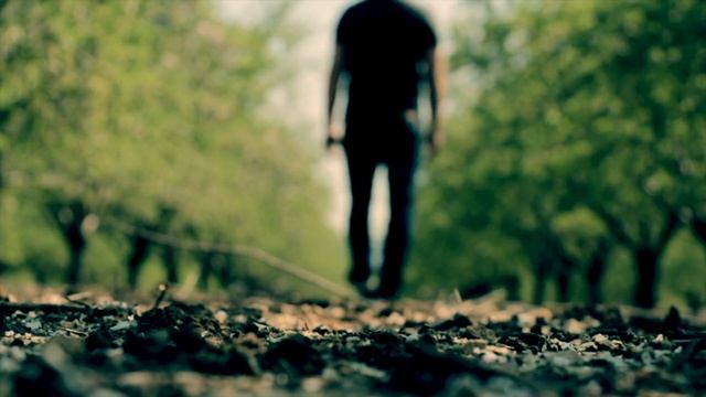 5 удивительных научных фактов смотреть онлайн
