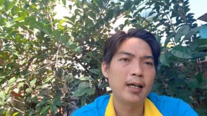 Clip vũ hương mai hải phòng  link 40 clip fuul/ hacker bị b.ắ.t?/NTT1985