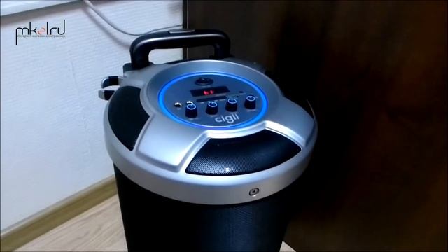 Акустическая система (комбоусилитель) Cigii S36 Plus с беспроводным микрофоном смотреть онлайн