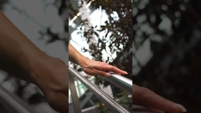 Feast Mode Women's T-shirt | Street 50 смотреть онлайн