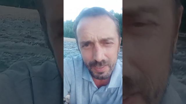 "Застольная". Стихотворение М. Щербакова. смотреть онлайн