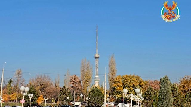 Обзорная Ташкент