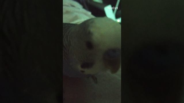 РОМА МЕМ 2😂 посмотри это