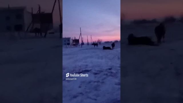 Хорошо... Утром