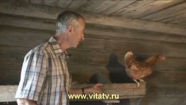Какой-то разноцветный салат | RYTP смотреть онлайн
