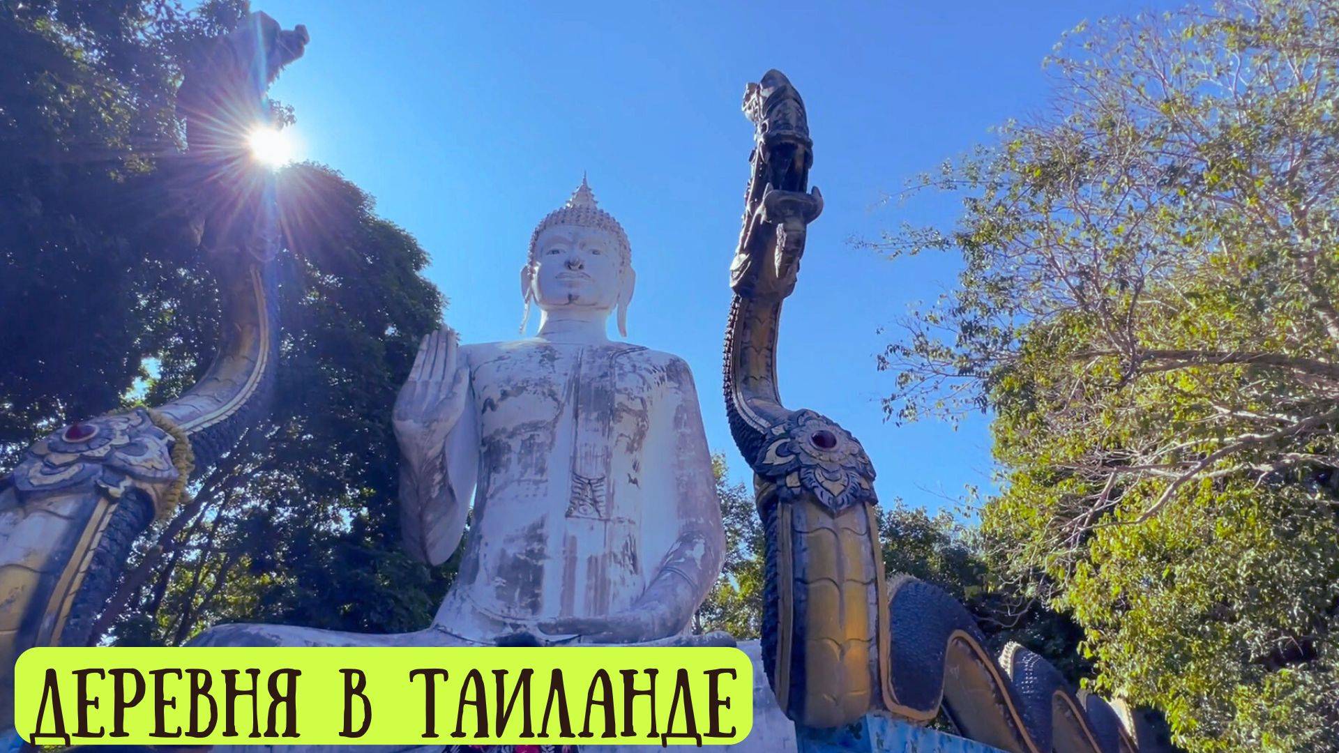 Необычное путешествие по Тайланду: от лотосов до водопада с собакой смотреть онлайн