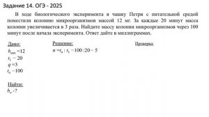 Математика. ОГЭ- 2025. 9 класс. Задание 14. Геометрическая прогрессия