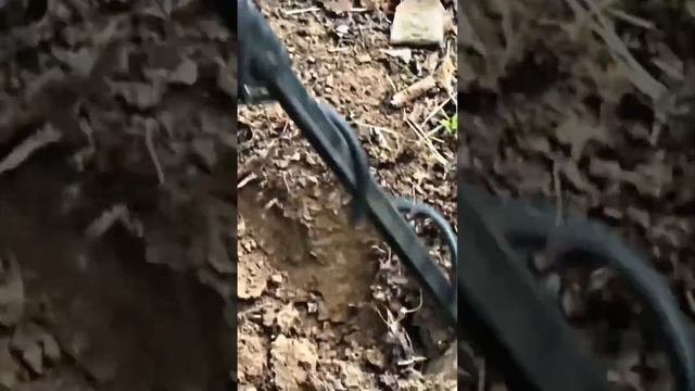 Коп!Царская пряжка! смотреть онлайн