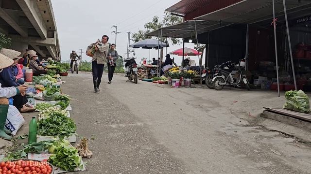 Single mother: Baby Nguyen needs to go to the hospital urgently - Harvesting gourds | Ly Thi Duyen смотреть онлайн
