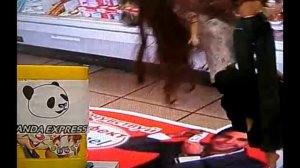 Не говори панде нет. полное)