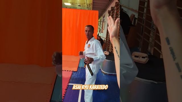 Как здороваются каратэки! #asairyu #карате #karate смотреть онлайн