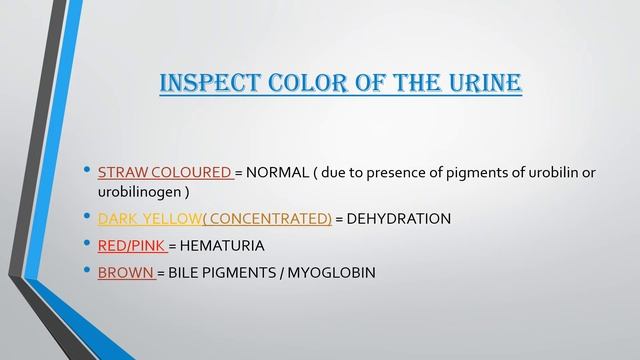 Urine Test