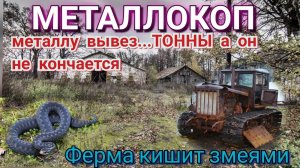 ЭКСТРЕМАЛЬНЫЙ коп МЕТАЛЛА, змеиное царство, сдал металл поднял бабла