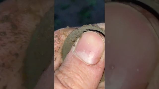 Монета Императора Павла 1 смотреть онлайн