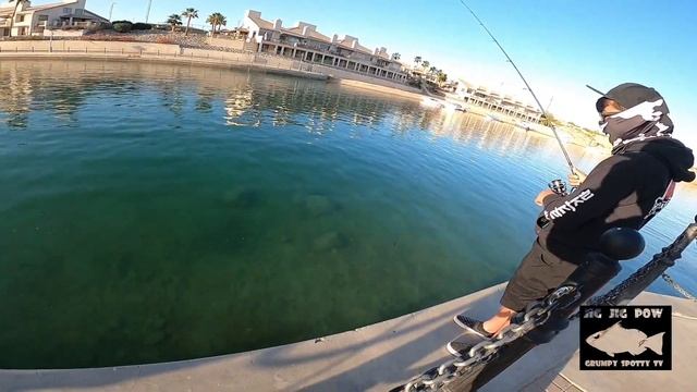 This kid Catches another BIG BASS (Smallmouth bass) | Last Morning at Lake Havasu ep 3 смотреть онлайн