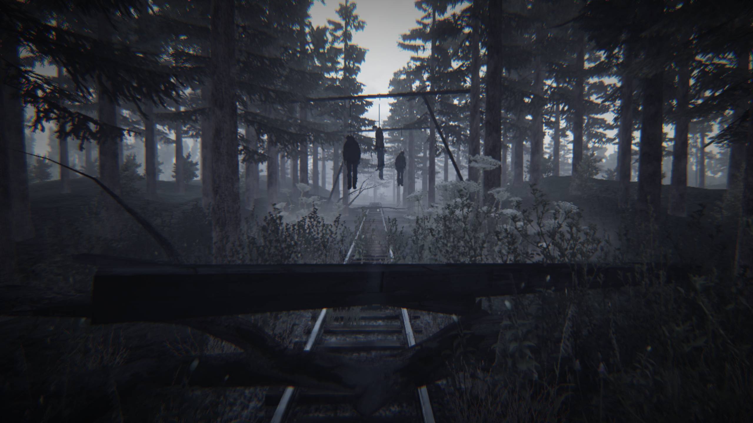 Путешествуем по железной дороге || 35MM #2 смотреть онлайн