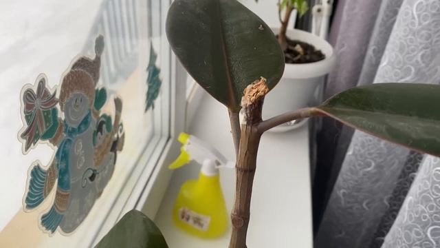 Норильск/не понимаем что происходит Готовлюсь к празднику смотреть онлайн