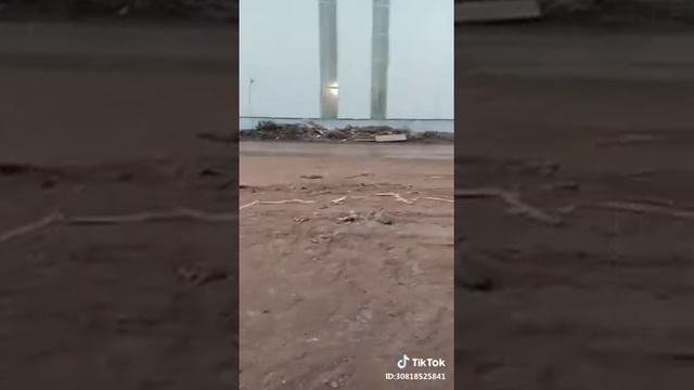 para pejuanng rupiah anak tambang nikel смотреть онлайн