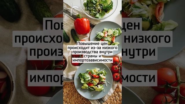 Огурцы и помидоры подешевеют в Казахстане #казахстан #цена #овощи #помидоры #огурцы #news смотреть онлайн