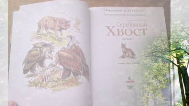 Сладков.mp4 смотреть онлайн