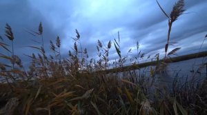 Супер бомбическая охота на гуся и утку в Казахстане осень 2021!!!