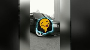 Тортуга - Сафари