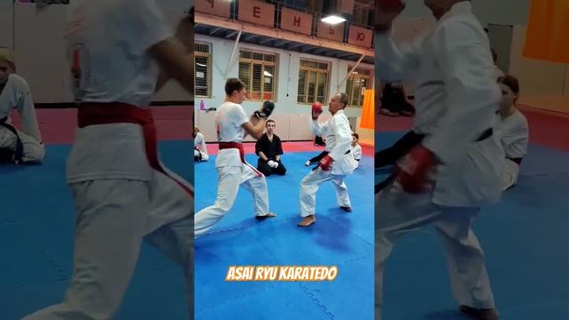 Тренировочный процесс Asai Ryu karatedo. #asairyu #каратэ #karate смотреть онлайн