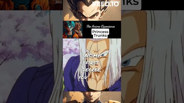 Princess Trunks #anime #dbz #dbza #trunks #vegeta #paragus #teamfourstar смотреть онлайн