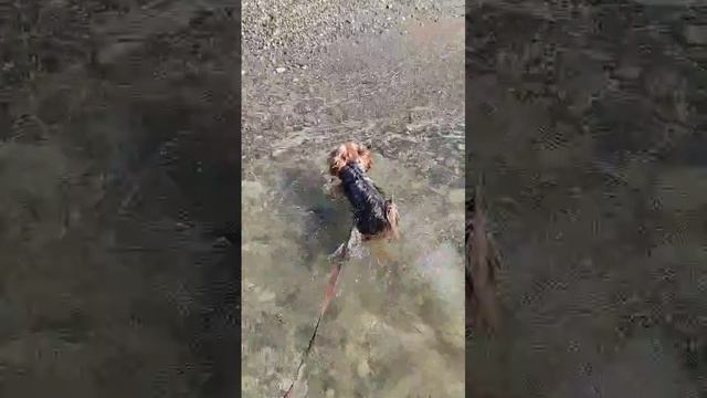 Лакуська купается в море🌊 смотреть онлайн