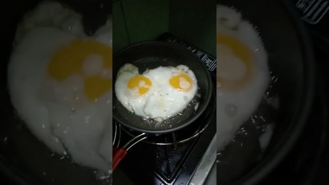 face cat egg #shortvideo #viral #shortvideo #marktesorero14 смотреть онлайн