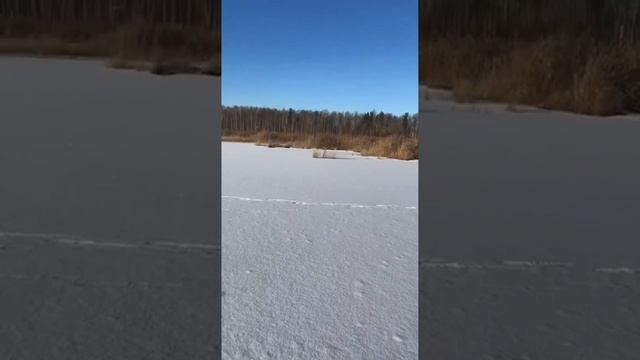 Рыбалка на озере. Проверка жерлиц.