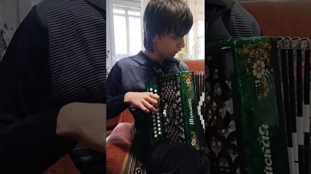 Когда гармошка попала в руки скрипача и блюзмена :-). Полгода самообучения, свободная импровизация. смотреть онлайн