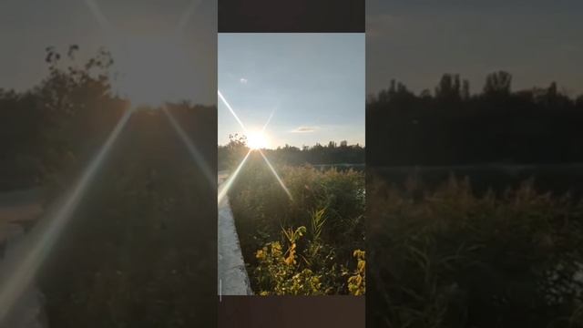 🌞 смотреть онлайн