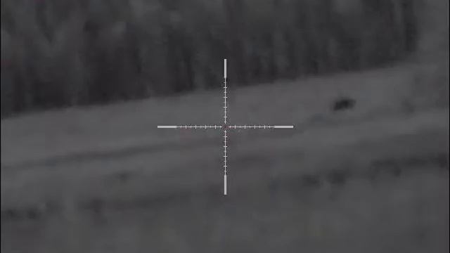 Pulsar ultra 355 смотреть онлайн