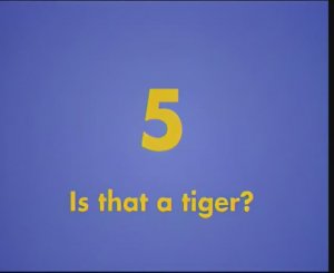 Gogo Loves English 5 - Is that a tiger