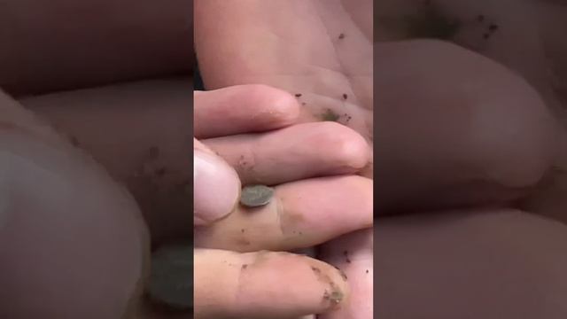 Чешуя!Михаил Фёдорович Романов!!! смотреть онлайн