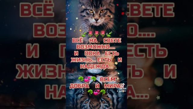 Все на свете ВОЗМОЖНО:)... смотреть онлайн