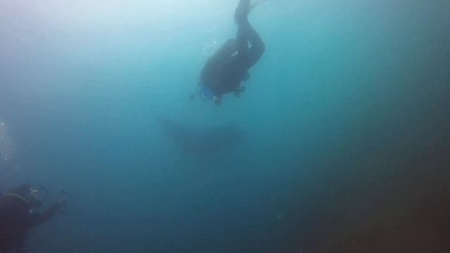 Manta at Black Rock смотреть онлайн