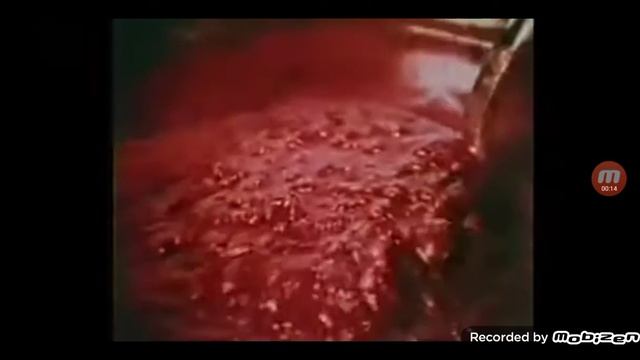Commercial Hunt's Tomato Paste American version 30 seconds 1974 смотреть онлайн