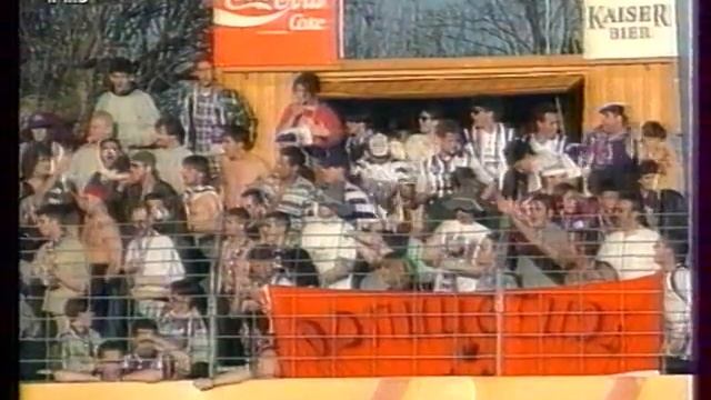 Обзор 20-го тура Чемпионата Австрии 1994/1995. смотреть онлайн