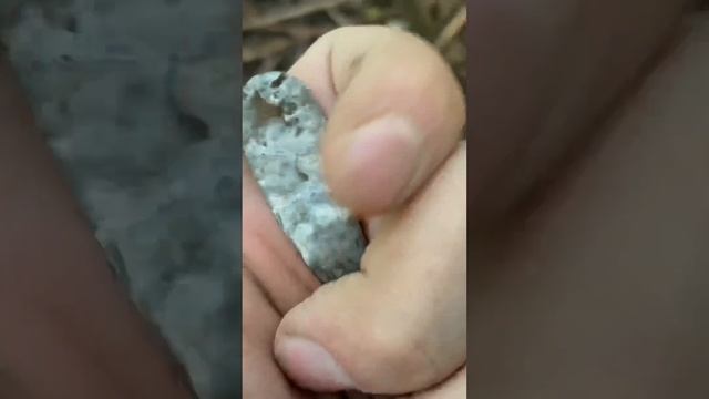 Столовое серебро!Коп! смотреть онлайн