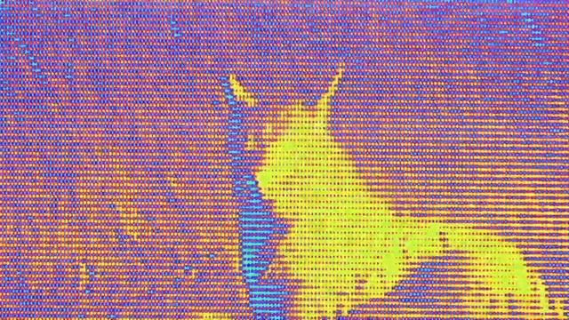 ZY TAPE смотреть онлайн