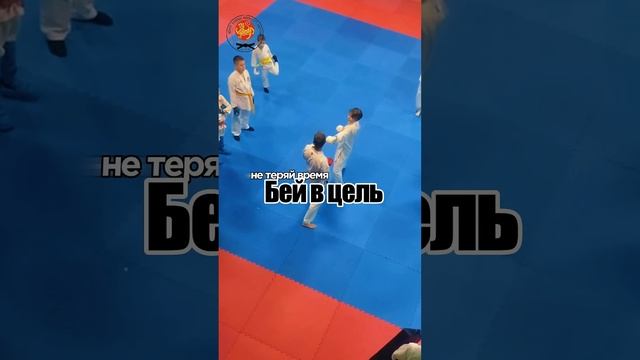 Asai Ryu karatedo. #asairyu #karate #каратэ смотреть онлайн