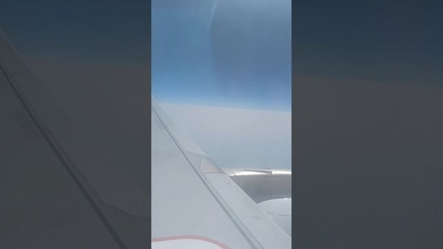 Aeroplane view #explore #aeroplane #views #airport #plane #airasia #indigo смотреть онлайн