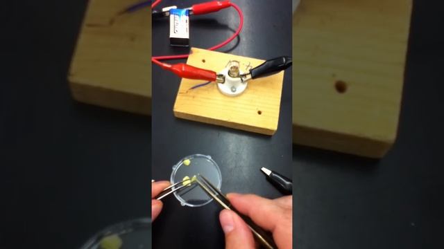 Sulfur Tests смотреть онлайн
