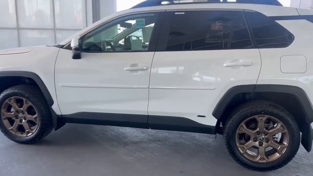 2024 TOYOTA RAV4 WOODLANDS HYBRID AWD смотреть онлайн