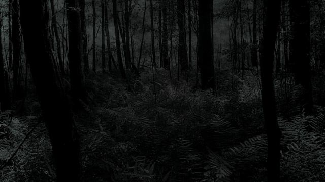 Lustmord - Black Star смотреть онлайн